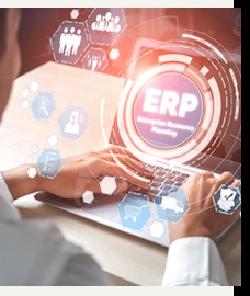 Услуги Разработка IT решений в Сестрорецке