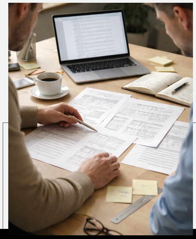 Техническое задание на разработку ПО под ключ в Сестрорецке